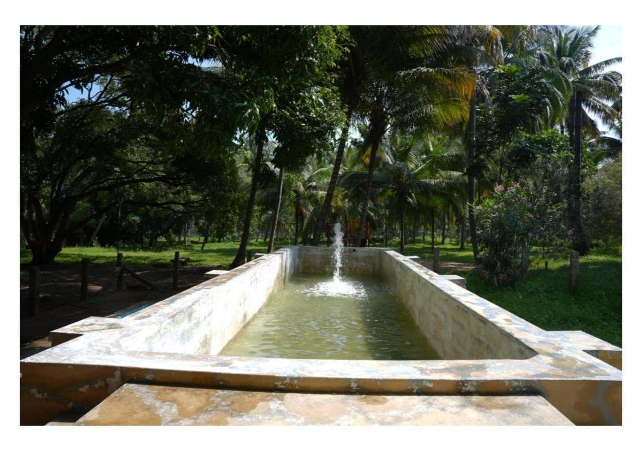 Down To Earth Farmstay By Laksem Anaimalai Extérieur photo